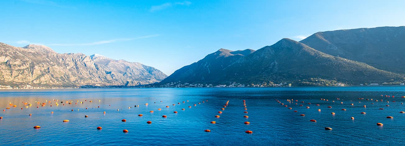 Farmvision statements