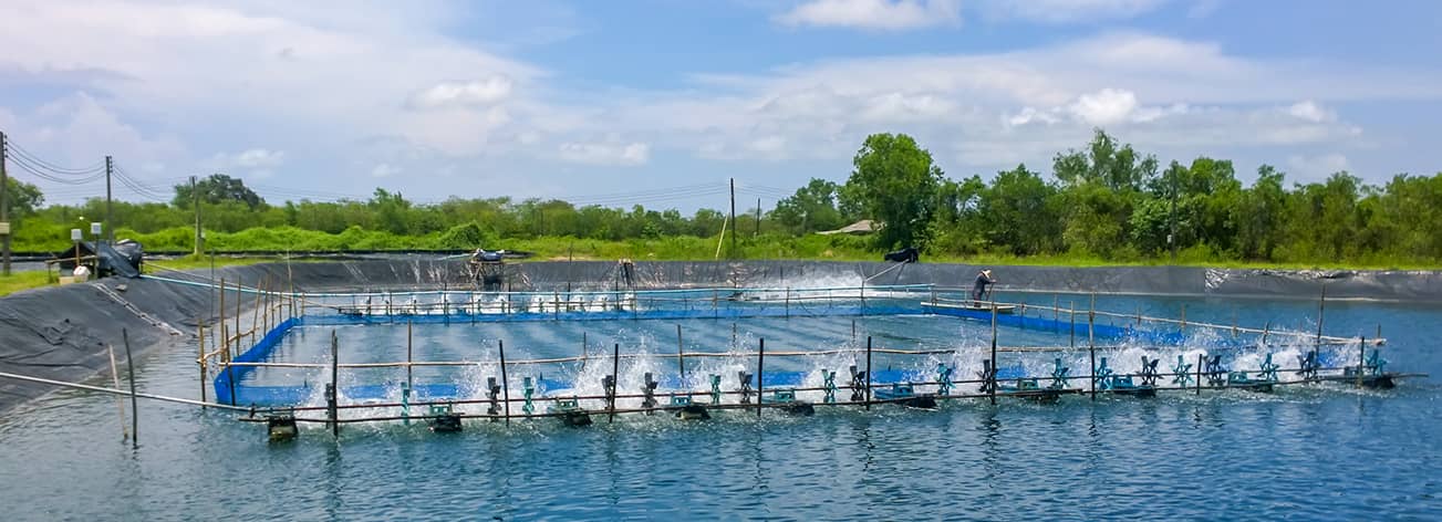 Customers statements